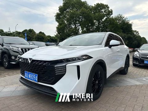 2021 Venucia V 2022 260T Dark Horse Edition King of Heaven - ავტომობილი ჩინეთიდან
