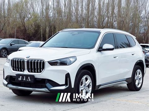 2023 BMW X1 sDrive20Li X Design Package - car from China