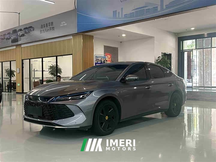 BYD Qin L 2024 DM-i 120KM transcendent