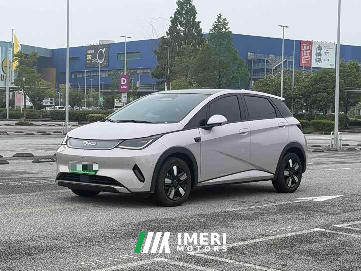 BYD Dolphin smart driving version 410km fashion version