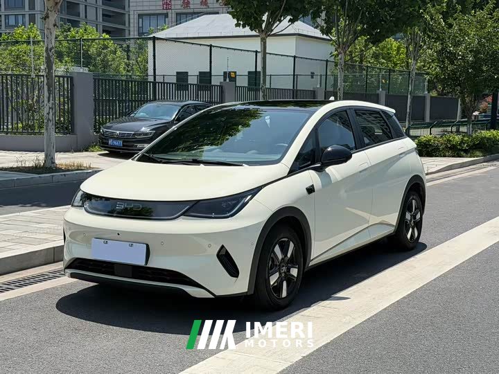 BYD Dolphin smart driving version 410km fashion version