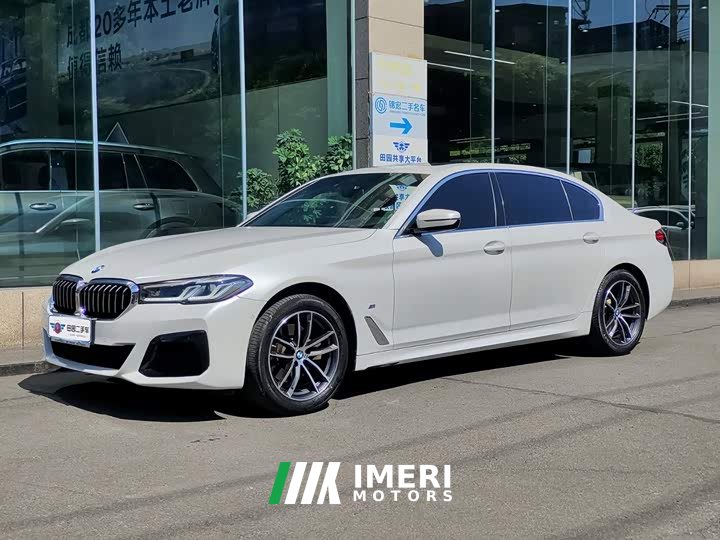BMW 5 Series facelift 525Li luxury package