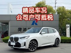 BMW X3 xDrive30L Premier M Sport Package - фото 11