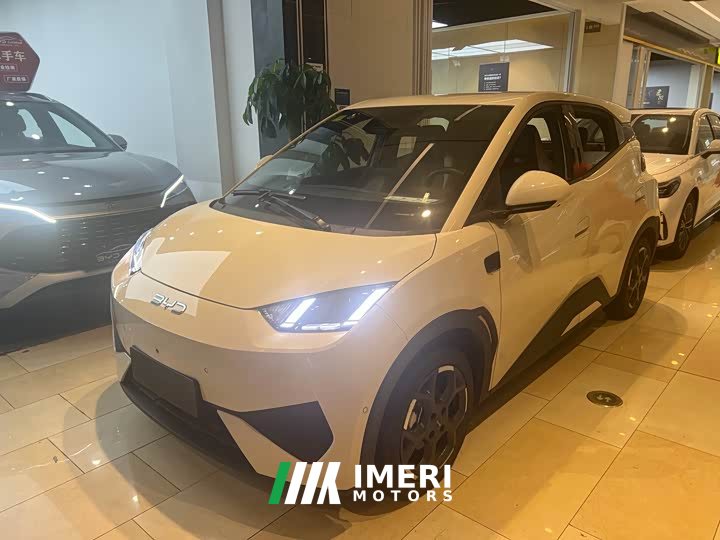 Tesla Seagull 305km Free Edition