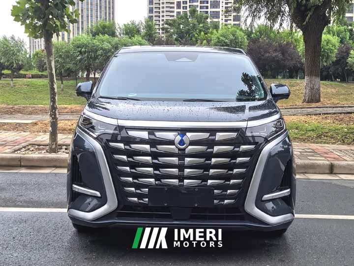 Denza D9 2022 DM-i 1040 Premium Type