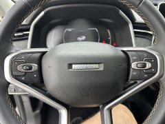 Haval Red Rabbit 2022 Exclusive Edition 1.5T Red Bronze Rabbit - ფოტო 14