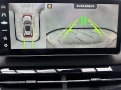Haval Red Rabbit 2022 Exclusive Edition 1.5T Red Bronze Rabbit - ფოტო 16