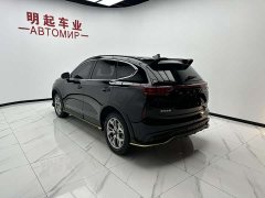 Haval Red Rabbit 2022 Exclusive Edition 1.5T Red Bronze Rabbit - ფოტო 8