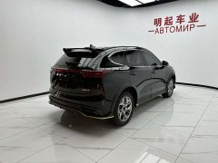 Haval Red Rabbit 2022 Exclusive Edition 1.5T Red Bronze Rabbit - ფოტო 9