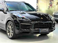 Porsche Cayenne S 2.9T Platinum Edition - ფოტო 10