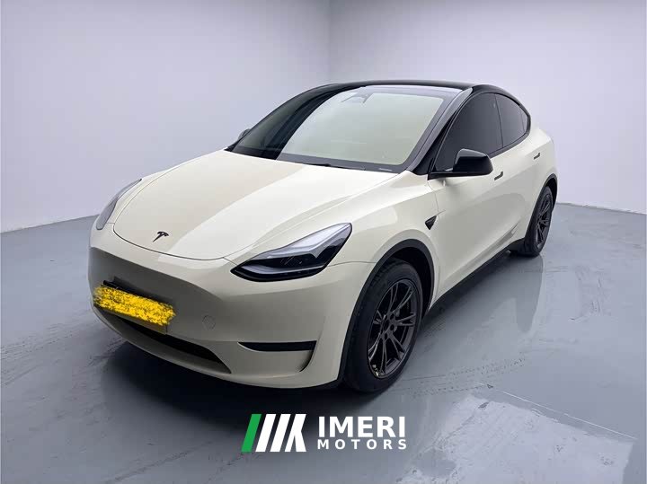 Tesla Model Y rear-wheel drive version