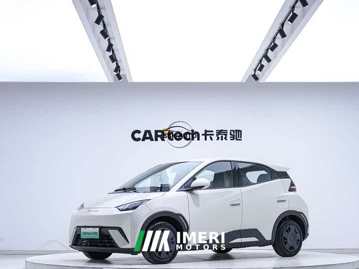 BYD Seagull Vitality Edition