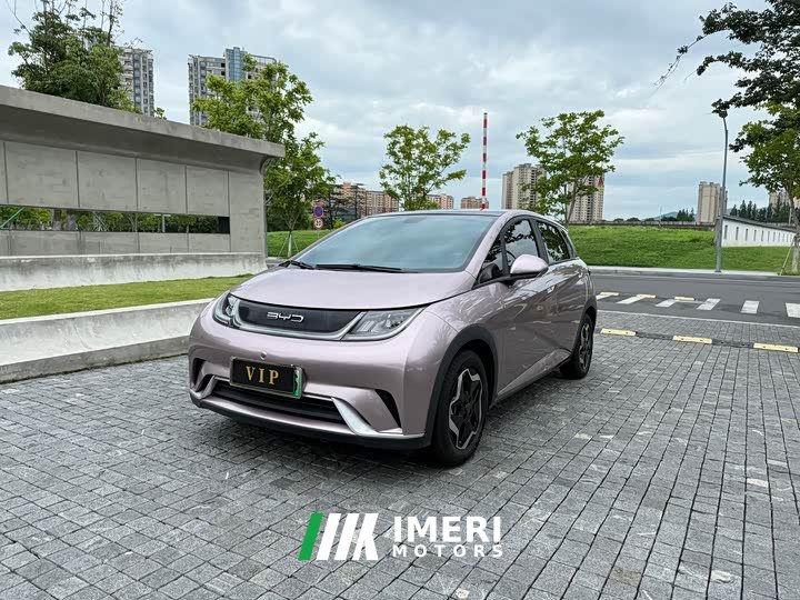 BYD Dolphin 2021 405km fashion version