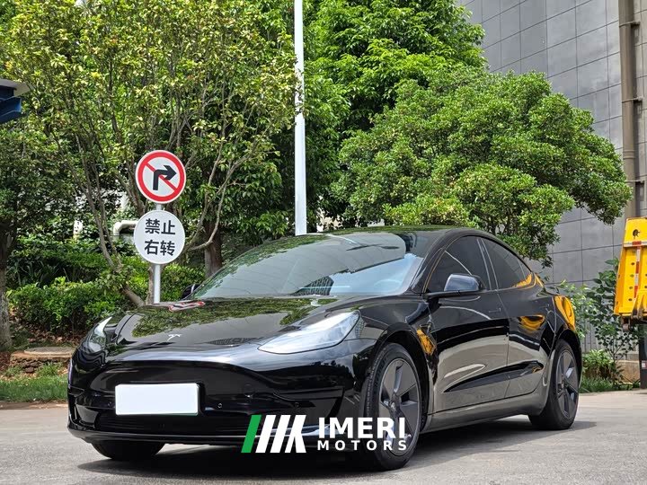 Tesla Model 3 2022 rear-wheel drive version