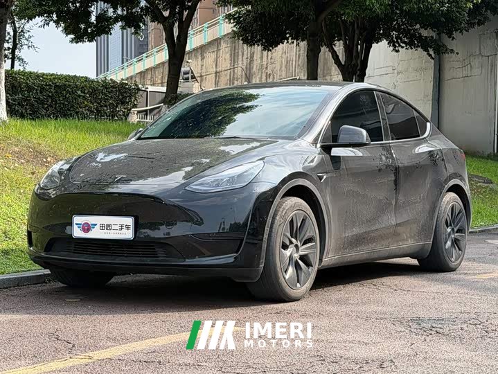 Tesla Model Y rear-wheel drive version