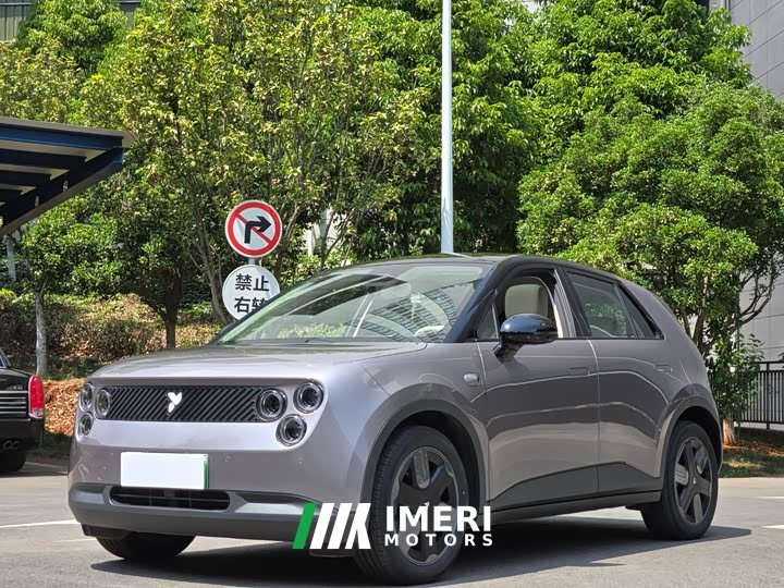 Lynk & Co firefly free version