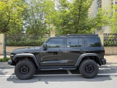 Tank 300 2023 2.0T Tieqi 02 - ფოტო 8