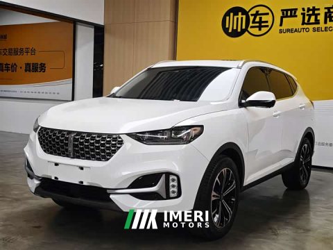 2021 Weipai VV6 2021 2.0T 2WD Intelligent Protection - ავტომობილი ჩინეთიდან