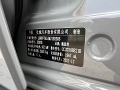 Tank 300 2021 Off-Road Version 2.0T Conqueror - ფოტო 7
