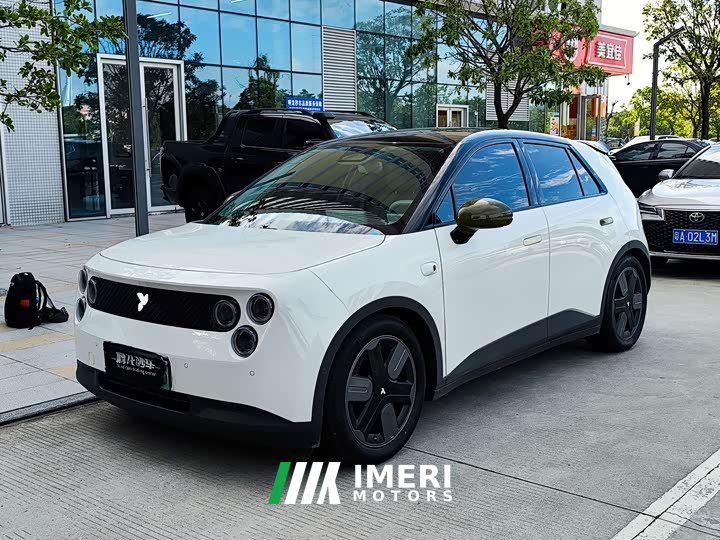 Lynk & Co firefly luminous version