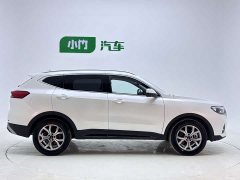 Haval H6 2021 National Fashion Edition 1.5T Automatic Champion Edition - photo 8