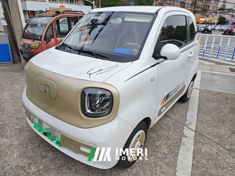 2025 Galloping Pony 2026 Model 222km Colorful Horse - ავტომობილი ჩინეთიდან
