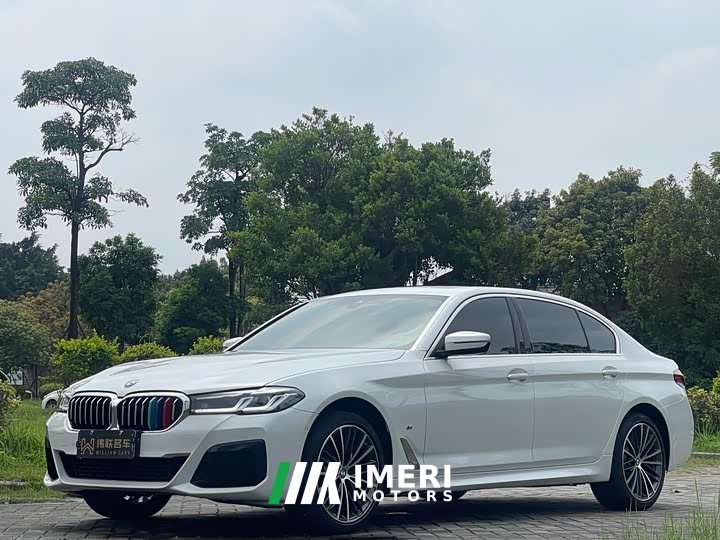 BMW 5 Series 530Li Leading M Sports Package