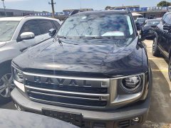 Havaldog 2024 1.5T DCT Labrador Edition - ფოტო 2