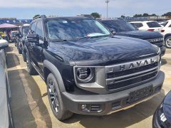 Havaldog 2024 1.5T DCT Labrador Edition - ფოტო 3