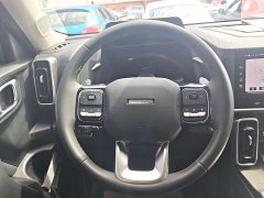 Havaldog 2024 1.5T DCT Labrador Edition - ფოტო 6