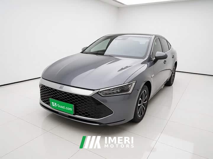 BYD Qin PLUS 2024 Honor Edition DM-i 55KM Leading Type