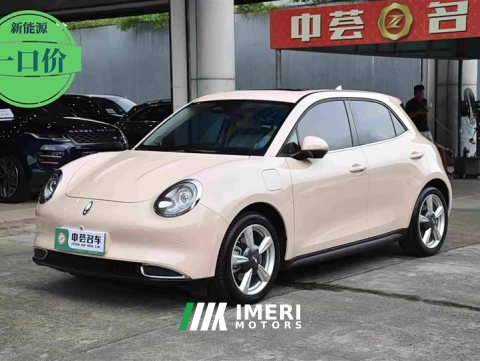 2023 ORA Good Cat 2022 400km Standard Range Deluxe Edition LFP Battery - ავტომობილი ჩინეთიდან