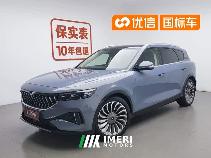 Voyah Lantu FREE 2021 four-wheel drive standard extended range exclusive luxury package