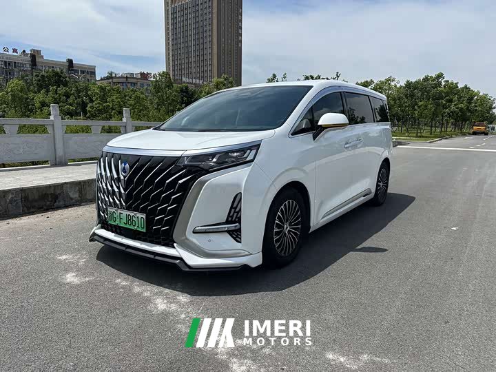 Denza D9 DM-i 980 four-wheel drive premium