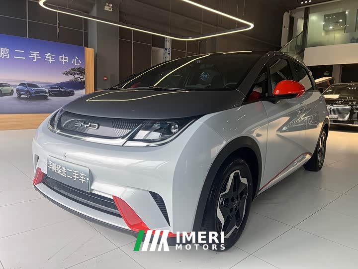 BYD Dolphin 405km fashion version