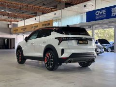 Lynk & Co 06 1.5T Yao Halo - ფოტო 6