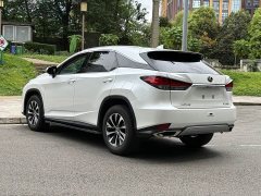 Lexus RX 300 2WD Elite Edition National VI - ფოტო 18