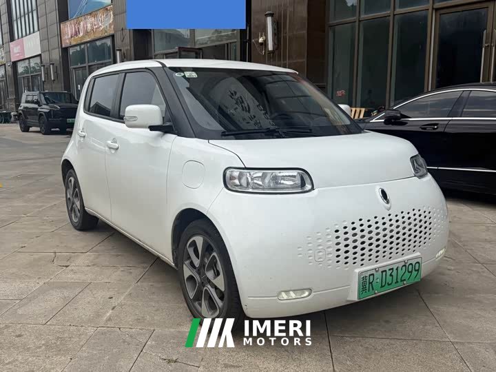 Lexus Euler White Cat 2022 upgraded version 305km luxury ternary lithium