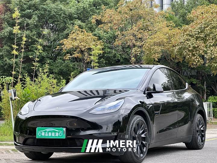 Tesla Model Y Long Range Edition