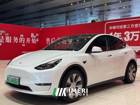 2021 Tesla Model Y Standard Range RWD - ავტომობილი ჩინეთიდან