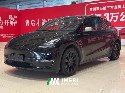 2024 Tesla Model Y Long Range All-Wheel Drive - ავტომობილი ჩინეთიდან