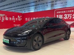 Tesla Model 3 Rear-Wheel Drive - ფოტო 1