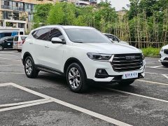 Haval H6 Guochao Edition 1.5T Automatic Champion Edition - ფოტო 2