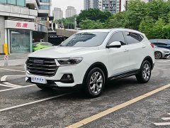 Haval H6 Guochao Edition 1.5T Automatic Champion Edition - ფოტო 4