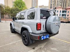 Tank 300 City Edition 2.0T Very Stylish - photo 13