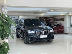 BMW X5 xDrive 30Li M Sport Luxury Package - фото 3