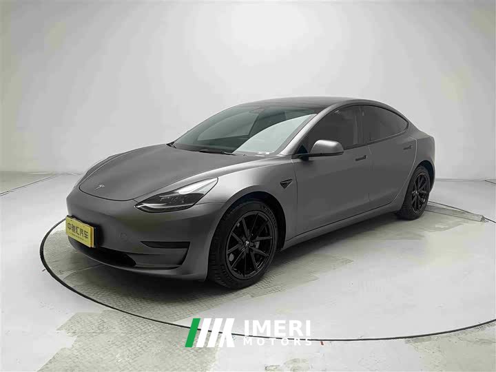 Tesla Model 3 Standard Range Edition 3D6
