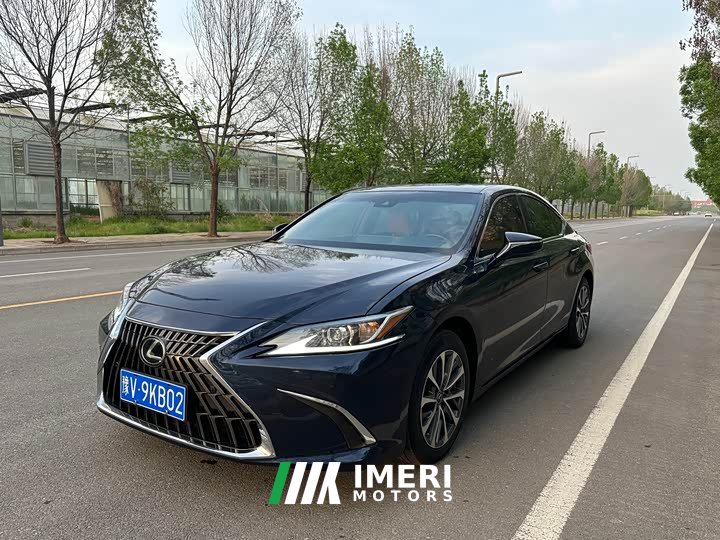 Lexus ES 300h Excellence Edition - автомобиль из Китая