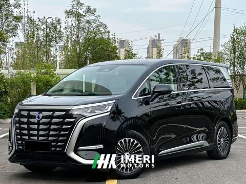 2024 Denza D9 DM-i 980 Four-Wheel Drive Flagship - car from China