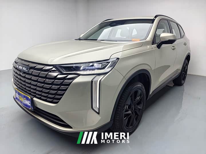 Haval H6 1.5T two-wheel drive Ultra